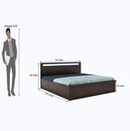 STRATA FURNITURE Sheesham Wood Queen Size Bed with Hydraulic Storage for Home Living Room Bedroom Wooden Double Bed Cot Palang Furniture (Walnut Finish)