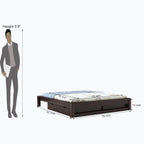 STRATA FURNITURE Solid Sheesham Wood Low Height Platform King Size Bed with Storage for Bedroom Wooden Double Bed (Walnut Finish)